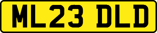 ML23DLD
