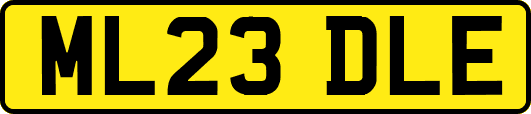 ML23DLE