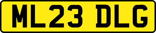 ML23DLG