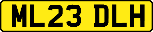 ML23DLH