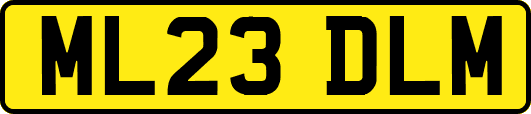 ML23DLM