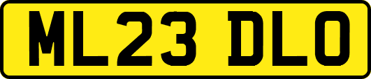 ML23DLO