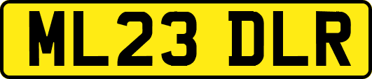 ML23DLR