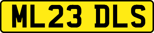 ML23DLS