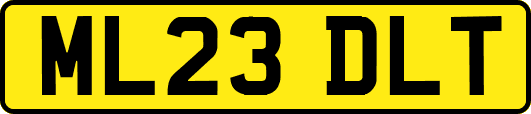 ML23DLT