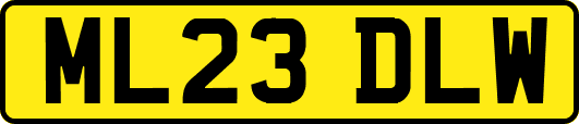 ML23DLW