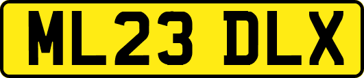 ML23DLX