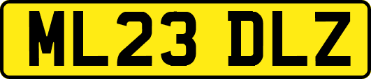 ML23DLZ