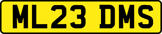 ML23DMS