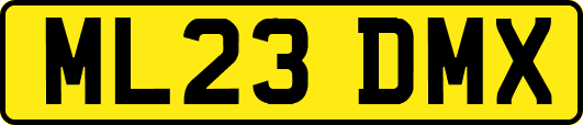 ML23DMX