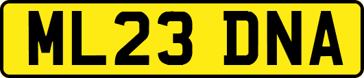 ML23DNA