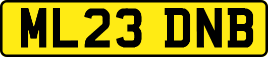 ML23DNB