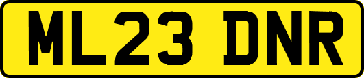 ML23DNR