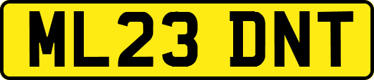 ML23DNT