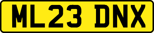 ML23DNX