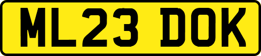 ML23DOK