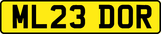 ML23DOR