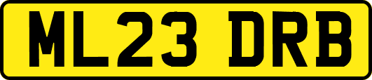 ML23DRB