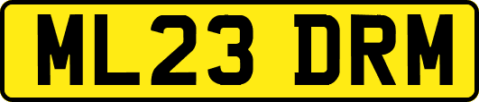 ML23DRM