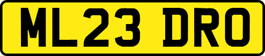 ML23DRO