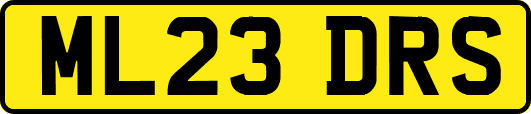 ML23DRS