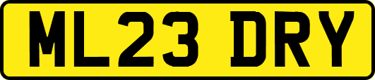 ML23DRY