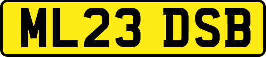 ML23DSB