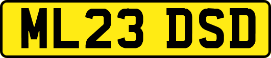 ML23DSD
