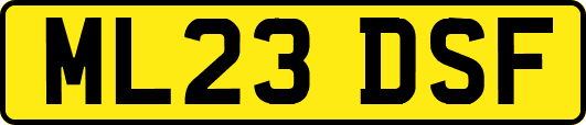 ML23DSF