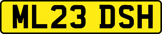 ML23DSH