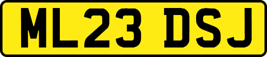 ML23DSJ