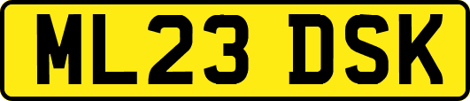 ML23DSK