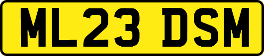 ML23DSM