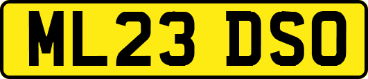 ML23DSO