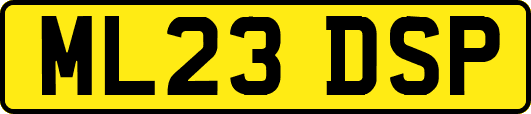 ML23DSP