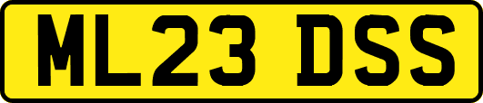 ML23DSS