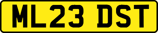 ML23DST