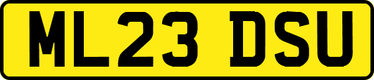ML23DSU