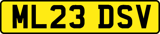 ML23DSV