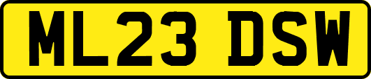 ML23DSW