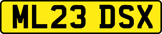 ML23DSX