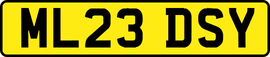 ML23DSY