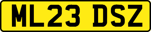 ML23DSZ