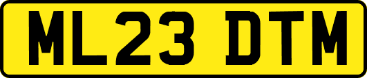 ML23DTM