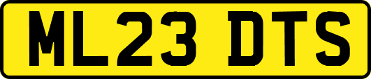 ML23DTS