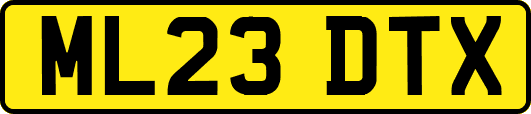 ML23DTX