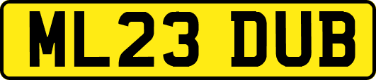 ML23DUB