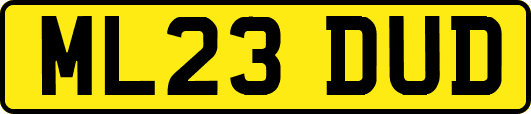 ML23DUD
