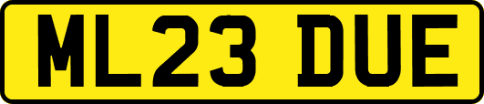 ML23DUE