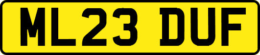 ML23DUF